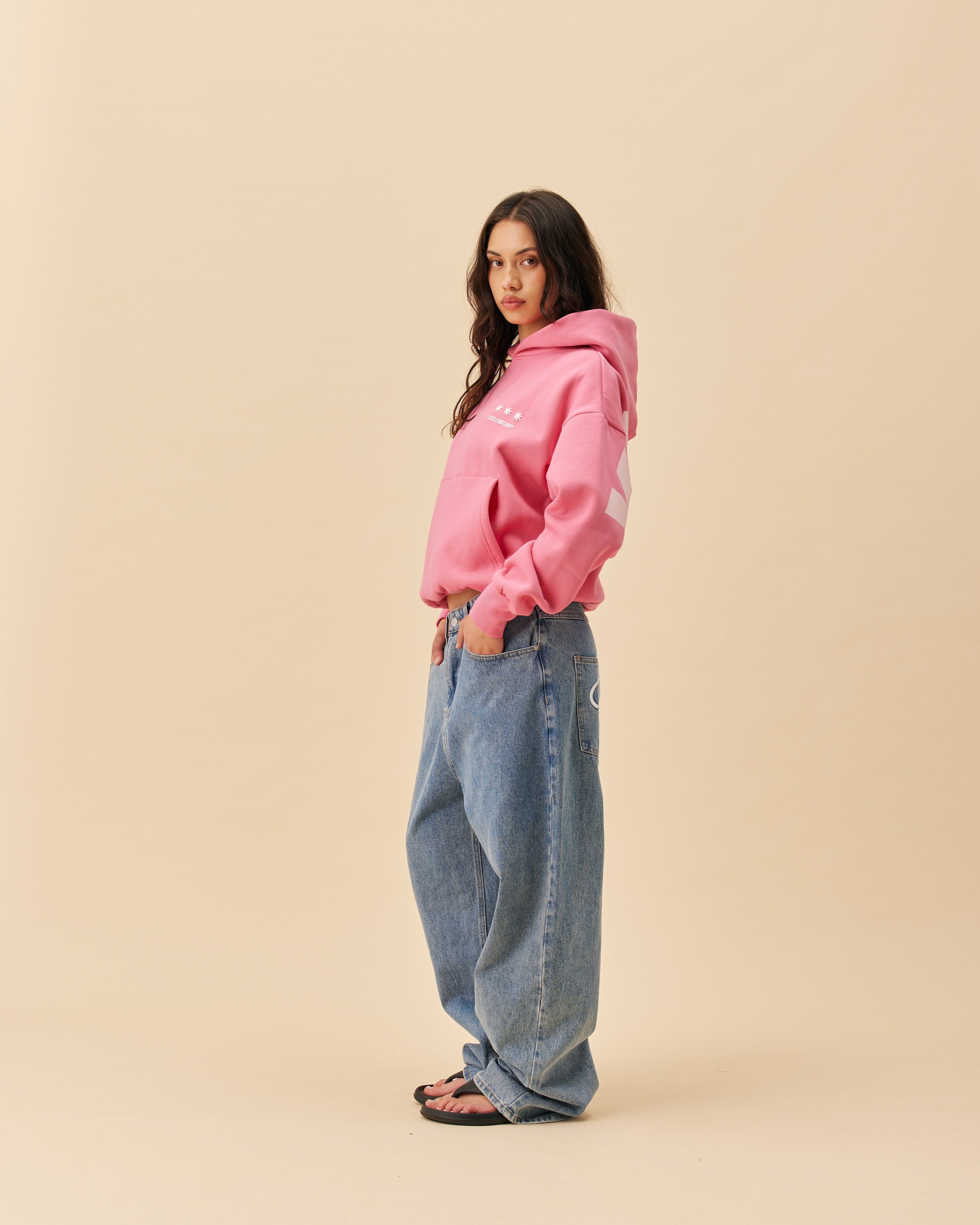 Big Back Hoodie | Pink